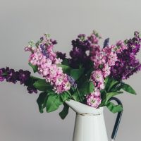 Урок визуального мерчендайзинга: цветы в магазине