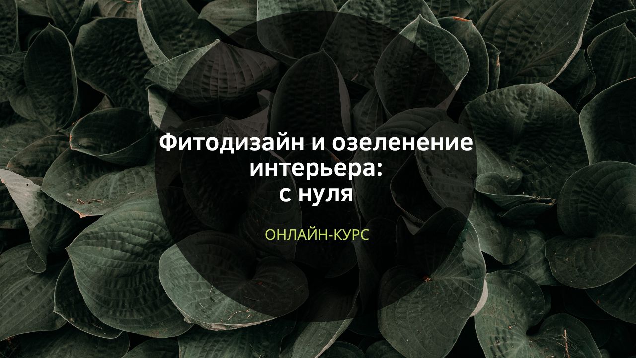 Книги по озеленению интерьера